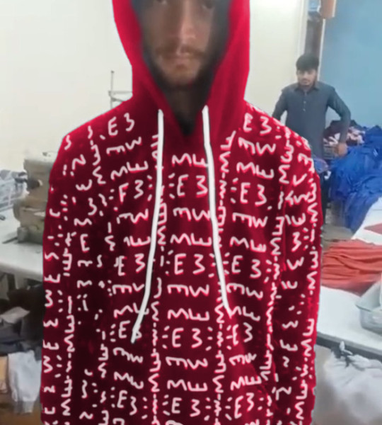 E3 Designer Amaranth Matrix Hoodie