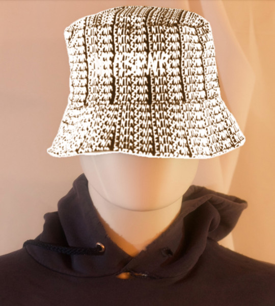 ENTR3PNR Matrix Copper Bucket Hat