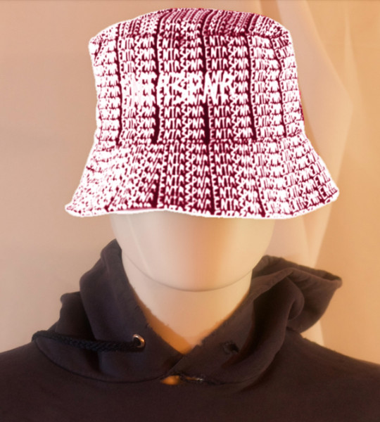 ENTR3PNR Matrix Crimson Bucket Hat