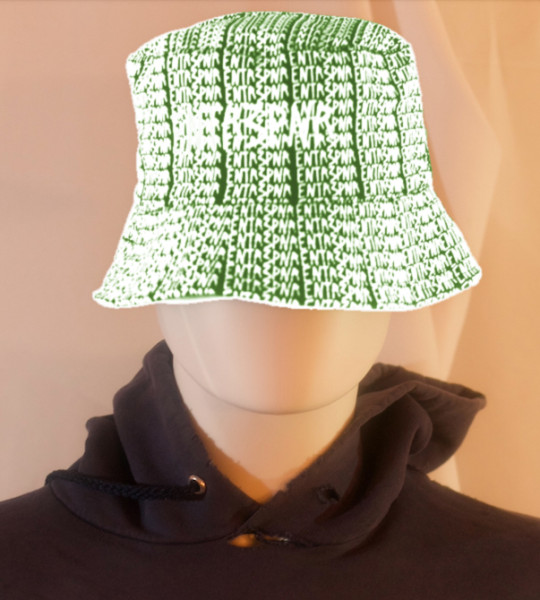 ENTR3PNR Matrix Dollar Bill Matrix Bucket Hat