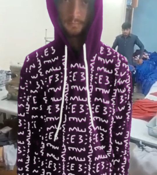E3 Designer Plum Matrix Hoodie